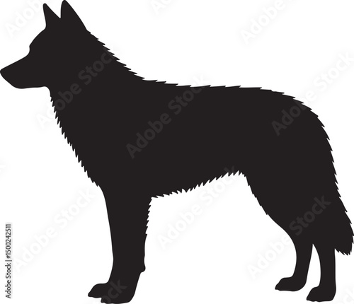 Saarloos Wolfdog Silhouette Vector photo