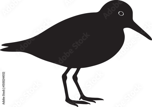 Semipalmated Sandpiper Silhouette Vector