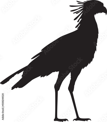 Secretarybird Silhouette Vector