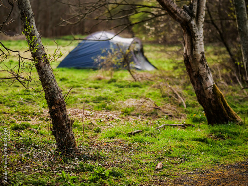 Two trees in focus in foreground. Blue tent out of focus in the background. Homeless living in a park concept. Camping in nature.