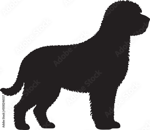 Spanish Water Dog Silhouette Vector