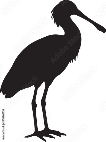 Spoonbill Silhouette Vector