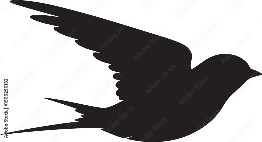 Obraz premium Swallow Silhouette