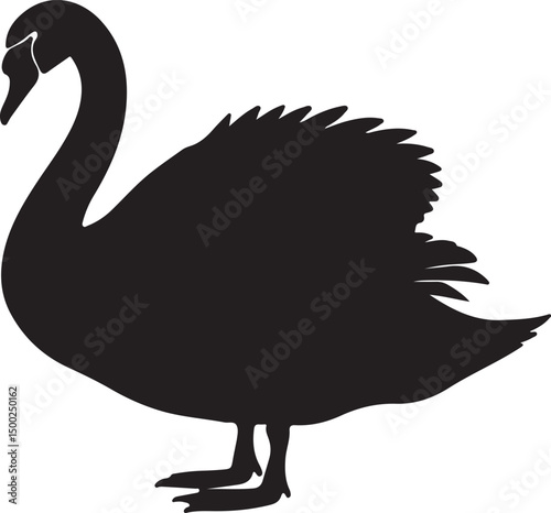 Swan Silhouette