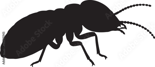 Fotografía Termite Queen Silhouette (Duplicate, already covered earlier)