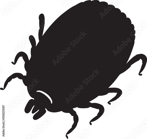 Tick Top View Silhouette