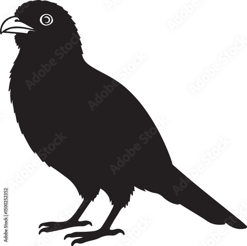 Trogon Silhouette