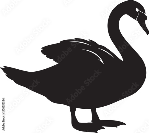 Trumpeter Swan Silhouette