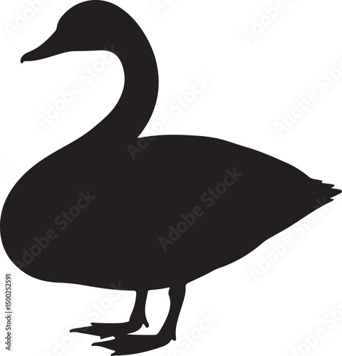 Tundra Swan Silhouette