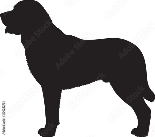 Turkish Shepherd Dog Silhouette