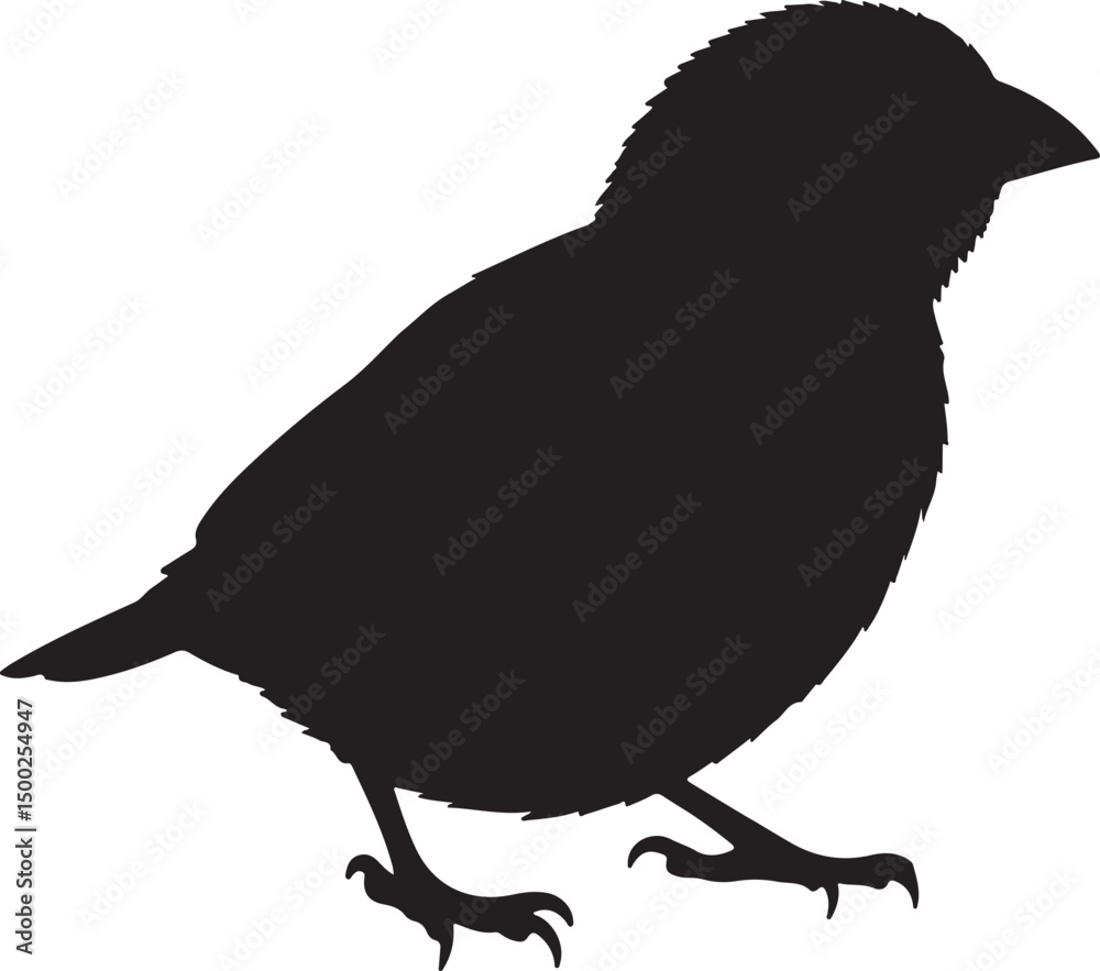 Obraz premium Weaver Silhouette