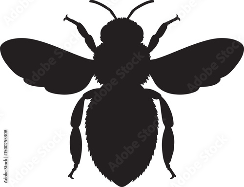 Western Honeybee Top View Silhouette