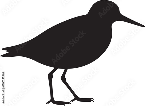 White-rumped Sandpiper Silhouette