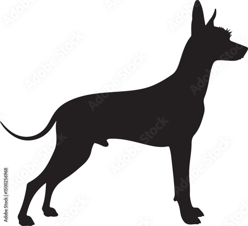 Xoloitzcuintli Silhouette Side View Single Icon