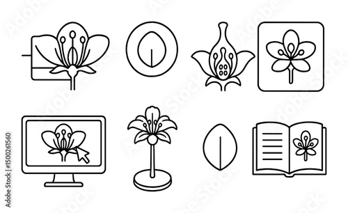 Floral outline icons set – botanical, linear, flower and garden symbols