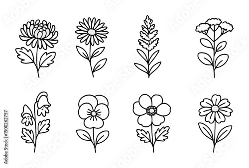 Nature and floral outline icons set – botanical, garden, plant symbols