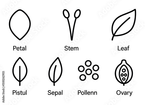 Botanical outline icons set – floral, plant, nature symbols for garden design