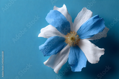 Solid background with a paper flower in colors of Argentina flag. Independence Day of Argentina photo