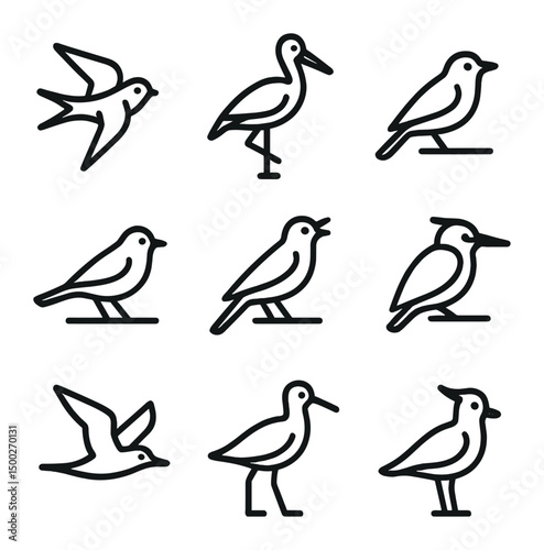 Bird Icon Grid. Outline icon set of returning bird species: swallow, stork, cuckoo, warbler, nightingale, kingfisher, tern,