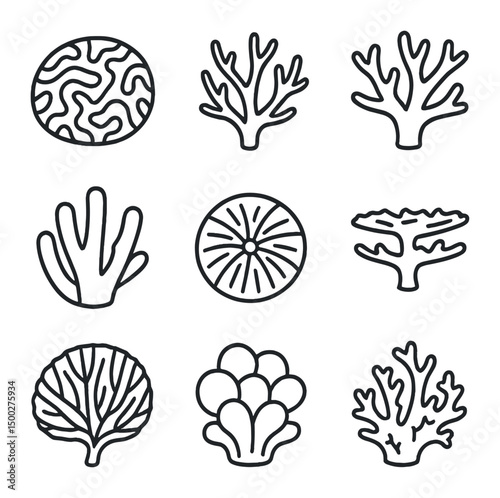 Coral Icon Grid. Outline icon set of coral species: brain coral, staghorn coral, elkhorn coral, finger coral, mushroom coral,