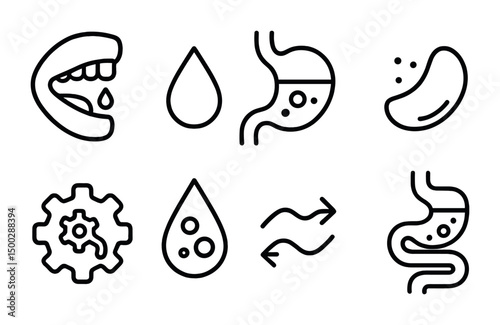 Digestive health line icons set – outline, flat, wellness and anatomy symbols