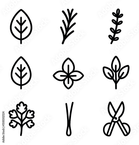 Herb Garden Icons. Outline icon set of herb garden: basil leaf, rosemary sprig, thyme stem, mint leaf, oregano cluster, sage leaf,