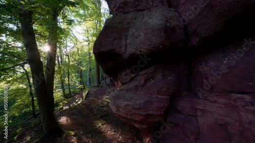 Ein mächtiger, rot gefärbter Buntsandsteinfelsen ragt aus dem Waldboden, während die tief stehende Sonne golden durch die Bäume scheint. 