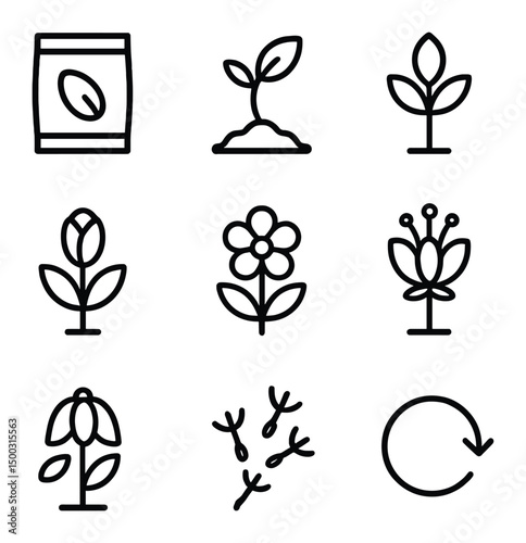 Time-Lapse Bloom Icons. Outline icon set of time-lapse bloom cycle: seed packet, sprout shoot, leaf unfurl, bud formation, full