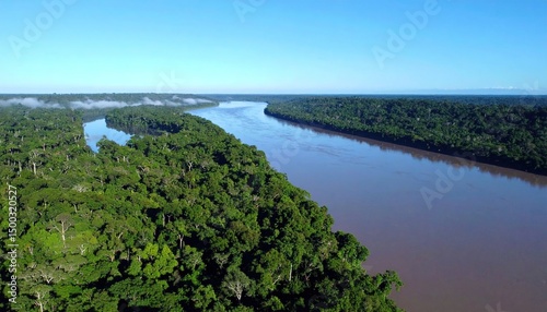 Wallpaper Mural Amazon River Rainforest Aerial View. Torontodigital.ca