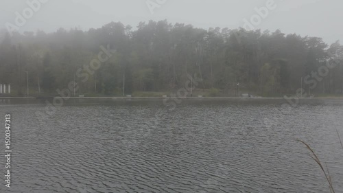 View from embankment of city lake or pond on wavy water surface and opposite shore hidden in thick fog at misty morning of early spring. Dense pine forest on background. Springtime scene on riverfront