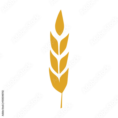 Golden wheat ears isolated on white for your agriculture and food designs