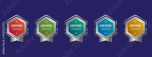 Certified Badge for Training Vector Illustration