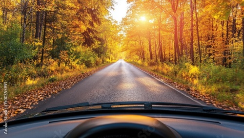 Autumn drive, car windshield view of a road through golden trees