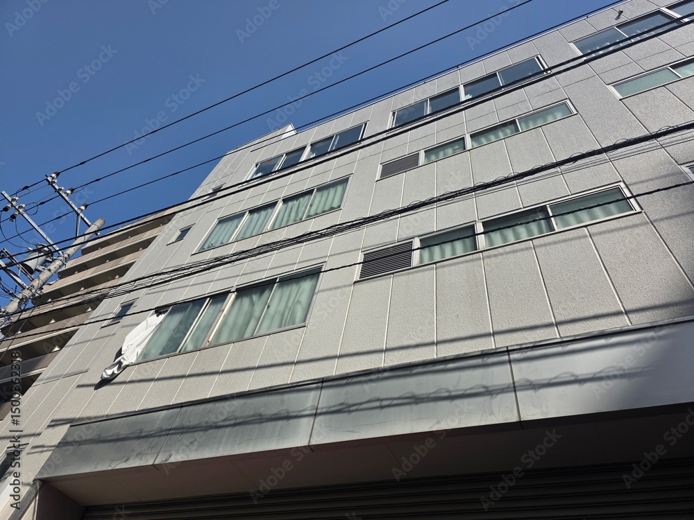 Fototapeta premium Japanese Building