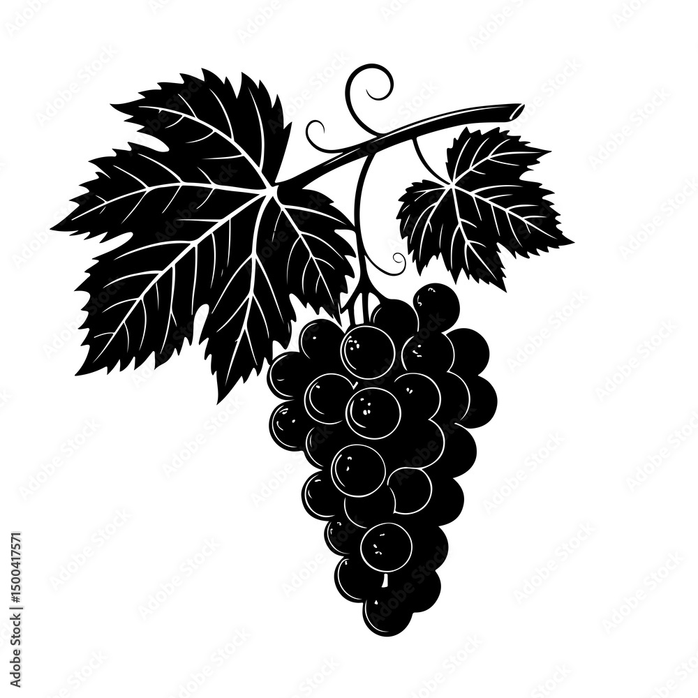 Obraz premium graps image