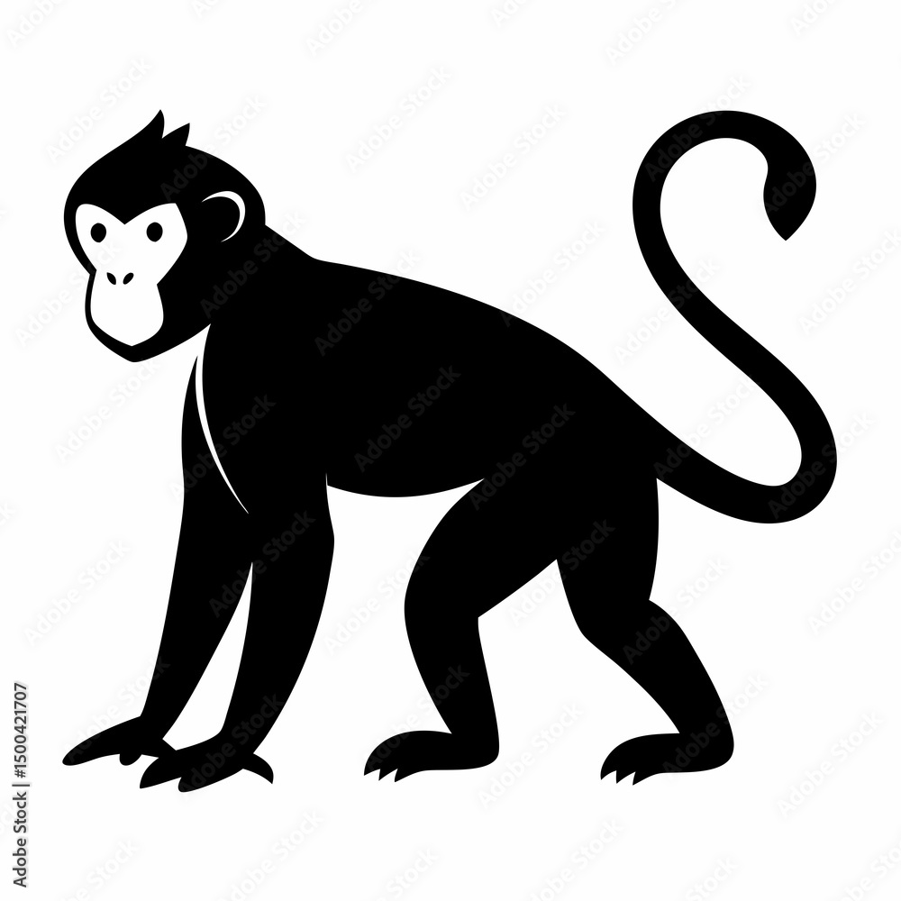 Obraz premium monkey on white background