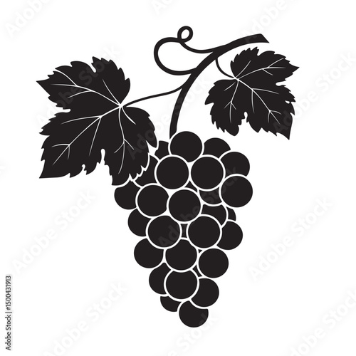 Grape silhouette vector image
