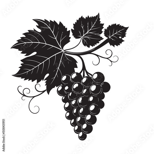 Grape silhouette vector image
