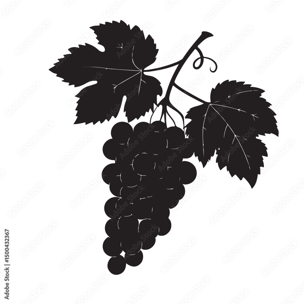 Obraz premium Grape silhouette vector image