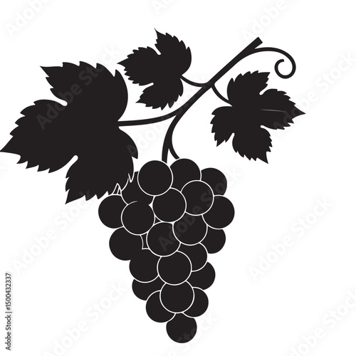 Grape silhouette vector image