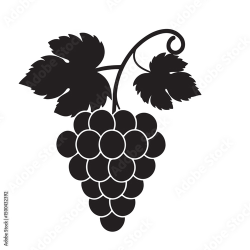 Grape silhouette vector image