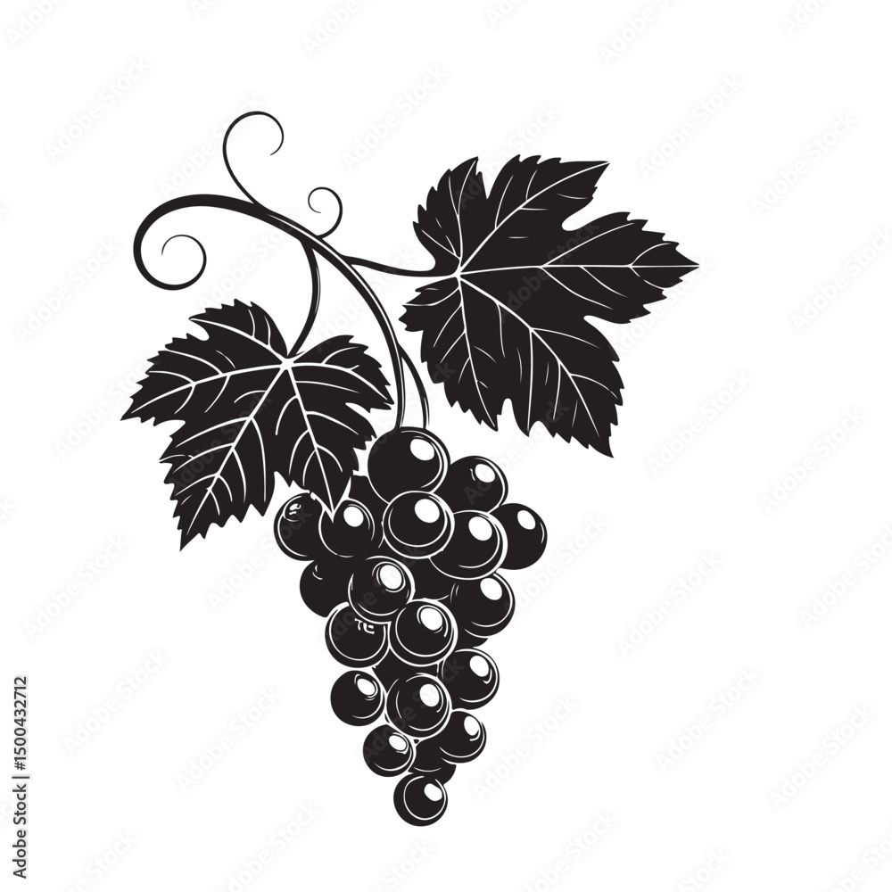 Obraz premium Grape silhouette vector image