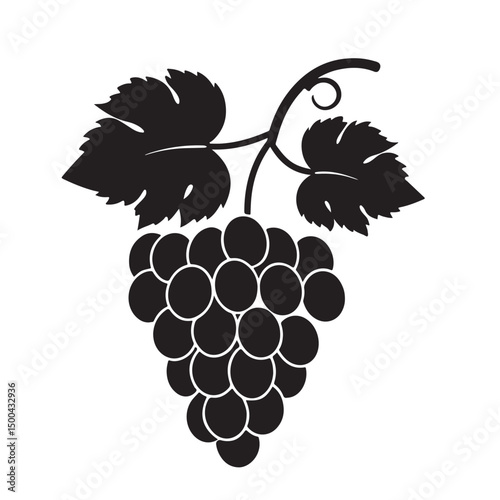 Grape silhouette vector image