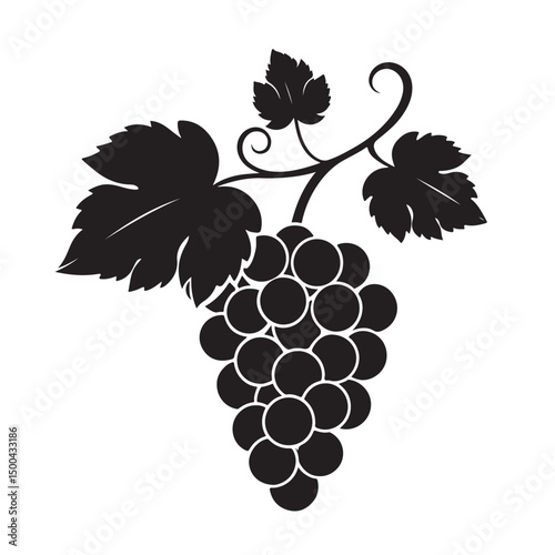 Grape silhouette vector image