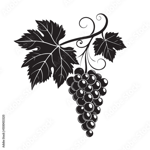 Grape silhouette vector image