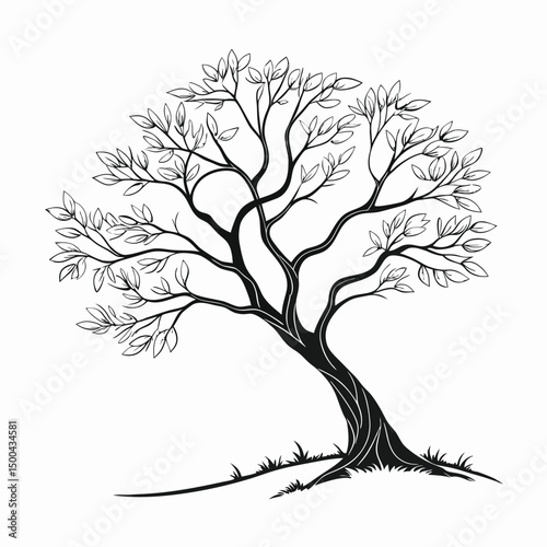 tree silhouette vector