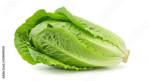 Photo of Fresh Green Romaine Lettuce on White Background