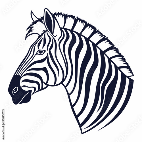 zebra vector illustration