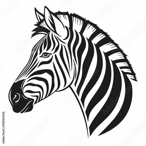 zebra vector illustration