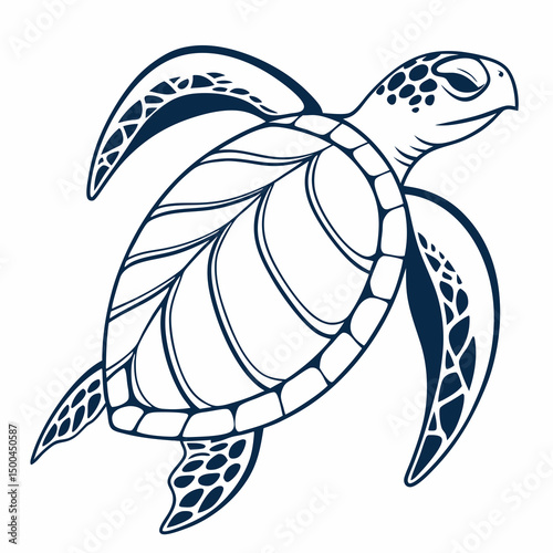 sea turtle vector illustration